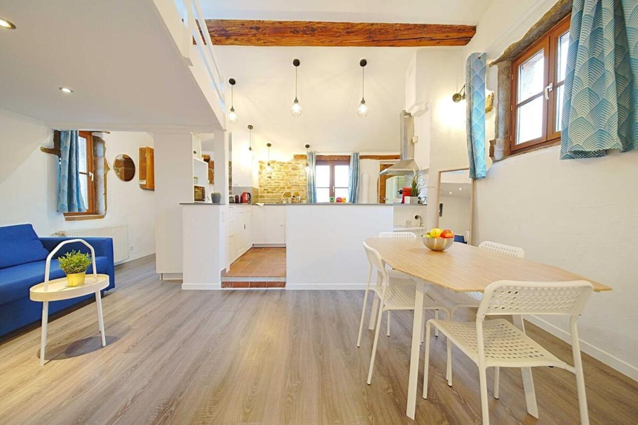 The Fernand-panoramic View-sathonay-terreaux Apartment