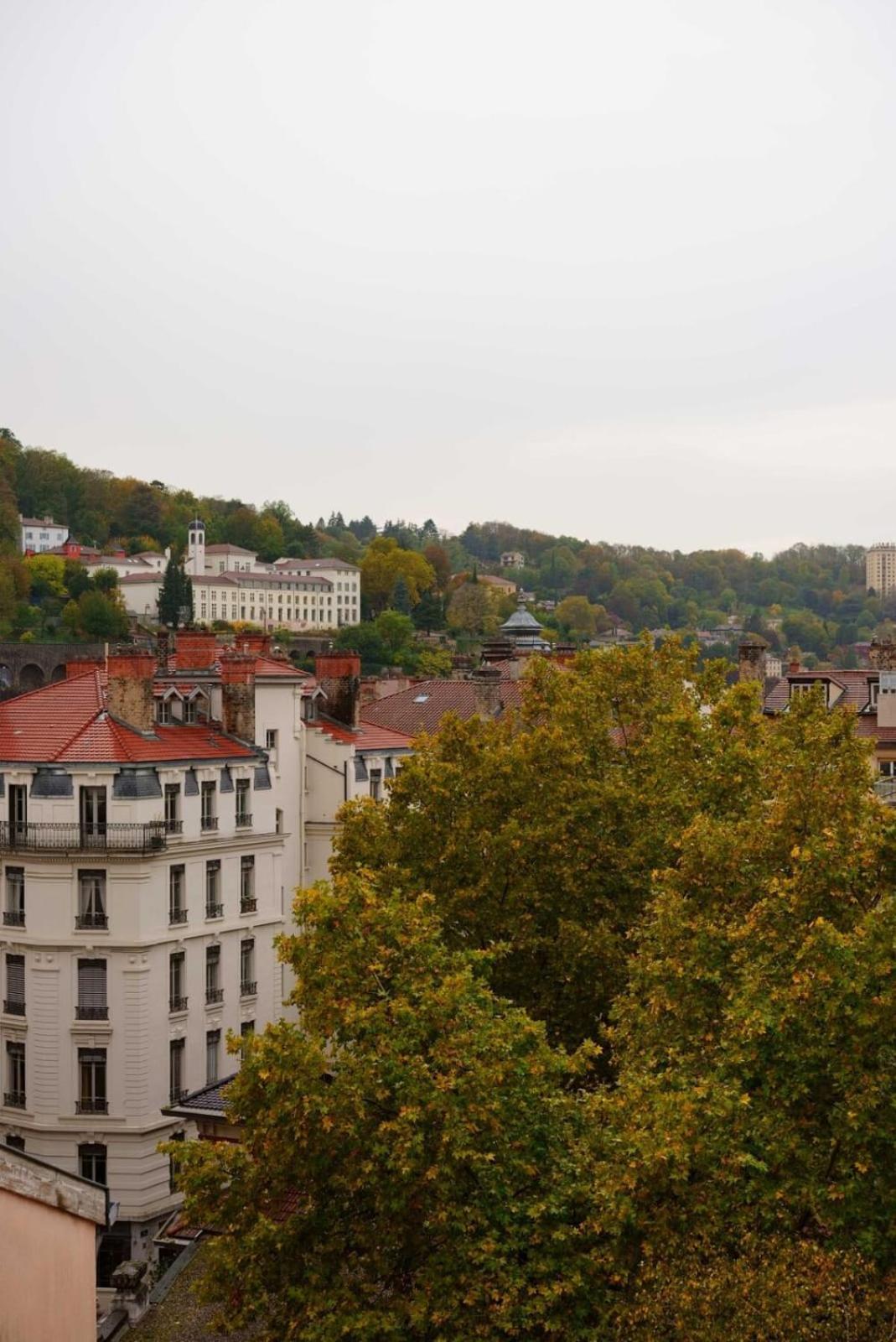 Apartment The Fernand-panoramic View-sathonay-terreaux *